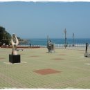 새천년도로(정라) 이미지
