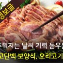 내몸에좋은오리 이미지