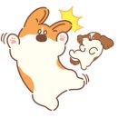 벨라동물병원 이미지