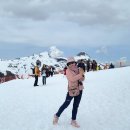 융프라우 이미지