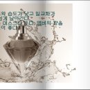 티알앤디 이미지