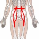환도약국 이미지