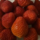 행복한모루도서관 나눔방 | [2월] 꼭 가야됩니까?