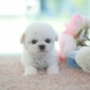 은평-007 이미지