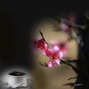 삼월애 이미지