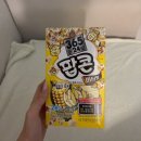 가을추 | 가을추!