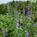 나눔까페 이미지