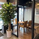 카페파스쿠찌금정역점 | 금정역 카페, 파스쿠찌 크림커피랑 자두 그라니따