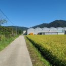 백산보건진료소 이미지