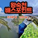 왕숙천 자전거도로20 네이버블로그