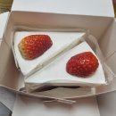 보문 달팽이 온천수 풀빌라 | 경주 풀빌라 숙소) 경주 보문 에코 풀빌라 개별...온돌방 경주 여행 숙박 아이랑 추천 내 돈 내산 후기