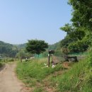 백마산주유소 이미지