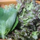 대구용산동우체국 이미지