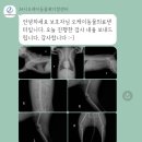 오케이동물병원 이미지