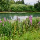 [골목]웃음 체조 이미지