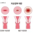 경부전기 이미지