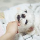 굿바이(GoodBuy) 이미지