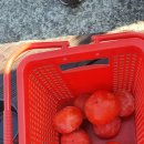 신나는 퓨전장구 이미지