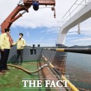 완도11호 이미지