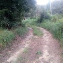 탄부보건지소 이미지