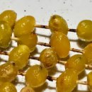 투다리(모산점) | 배방 투다리 탐방기