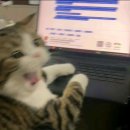 씨유 역삼행복점 | 2-4 아이스아메리카노 샷추우👎워요