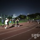 광주여인숙 | 동화로 물든 광주 도심, 충장축제로 떠나는 시간여행