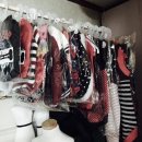 더독스 미니 이미지