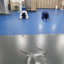 국가대표 유도체육관 2관 이미지