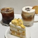 코지부호 이미지