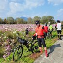 팔당물안개공원 이미지