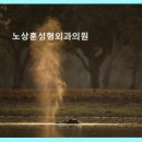 닥터본성형외과의원 네이버블로그