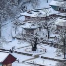 눈내린풍경 고요한 사찰 설경명소(김제 금산사, 부안 내소사, 진천 보탑사, 화성 만의사) 이미지