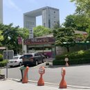 코듀스네일