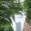 반포우리공인중개사사무소 이미지