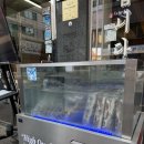 돈이랑 밥이랑 | 방이동 먹자골목 맛집 워터에이징 숙성 고기 빽돈 잠실방이 후기