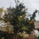 고흥사랑민박 이미지