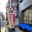 온힐펫 간석점 네이버블로그
