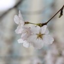 참아름 5단지 이미지