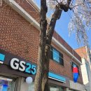 GS25종로누하점 이미지