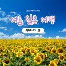 떼아모 이미지