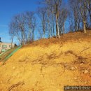 초지강화공인중개사사무소 이미지