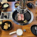 골목 돼지 이미지