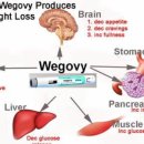 메디팜대형약국 이미지