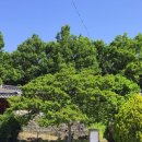 노계문학관 내부 이미지