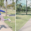 사랑으로세탁소 이미지