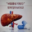 청보리더스 이미지