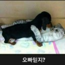 밤새 이미지