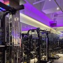 WIDE GYM (와이드짐) | 야외테라스도갖춰서 현역선수들도훈련하는 대전24시헬스장 둔산동헬스 더프로짐