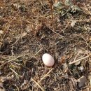 봉이농장 이미지